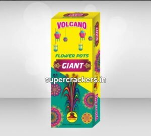 Flower Cone Giant