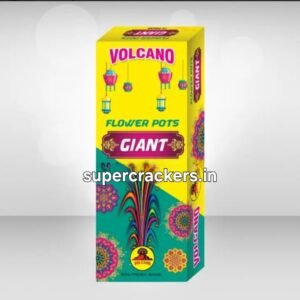 Flower Cone Giant