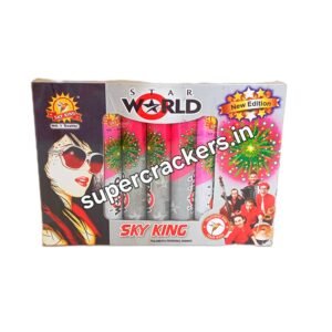 Sky King Star World
